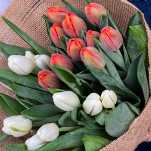 Screenshot 2026-05-15 at 14.13.42 Tulip